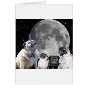 Vier Pug Moon Pug