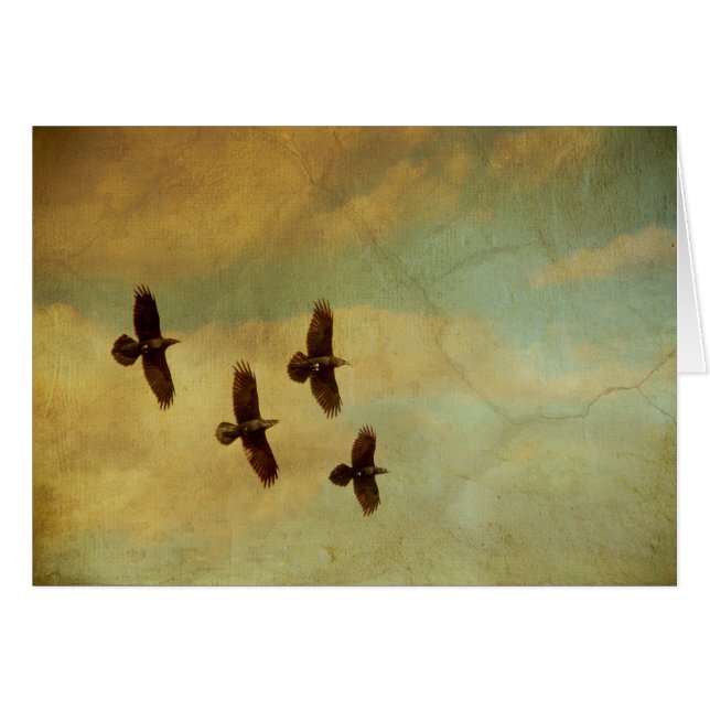 Vier raven vliegen (Voorkant Horizontaal)