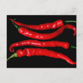 Vier rode Chilies pccna Briefkaart (Voorkant)