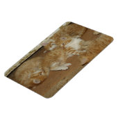 Vier rode tabletten magneet (Linkerzijde)