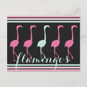 Vier roze lamingos Eén lichtblauw Briefkaart