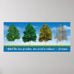Vier Seizoenen Aspen Trees Poster