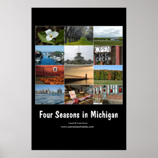 vier seizoenen in het poster van michigan