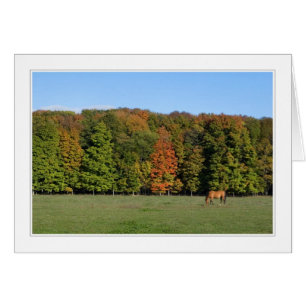 vier seizoenen op de michigan 09 - kaart