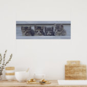Vier Slapy Kittens in een rij Poster (Keuken)