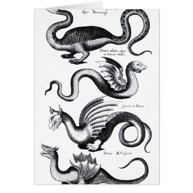Vier soorten draak (Voorkant)