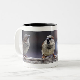 Vier Sparrows op een Omheining Tweekleurige Koffiemok