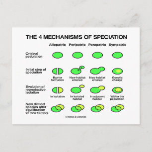 Vier specificatiemechanismen (evolutie) briefkaart
