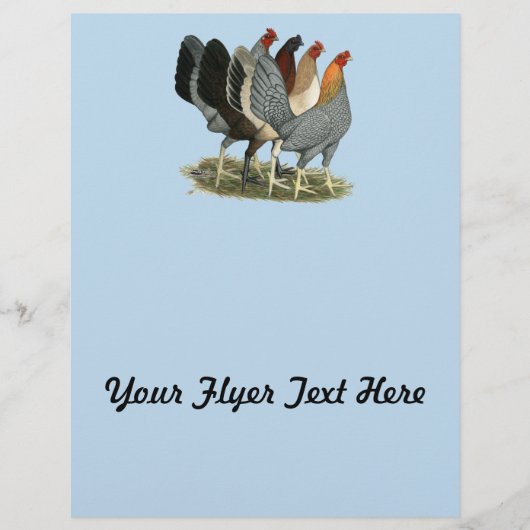 Vier spelhoenderen flyer (Voorkant)