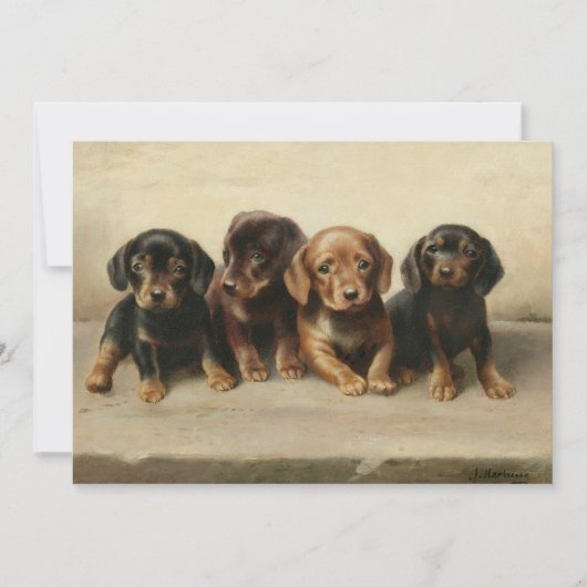 Vier teckel Puppies | Carl Reichert (Voorkant)