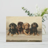 Vier teckel Puppies | Carl Reichert (Staand voorkant)