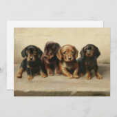 Vier teckel Puppies | Carl Reichert (Voorkant / Achterkant)