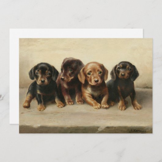 Vier teckel Puppies | Carl Reichert (Voorkant / Achterkant)