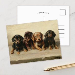 Vier teckel Puppies Carl Reichert Briefkaart