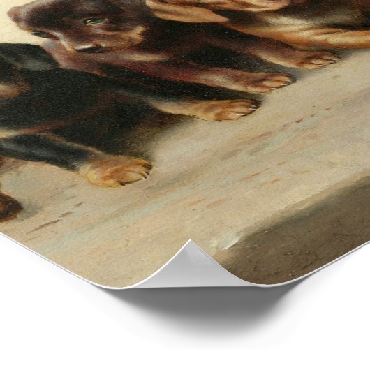 Vier teckel Puppies | Carl Reichert Poster (Hoek)