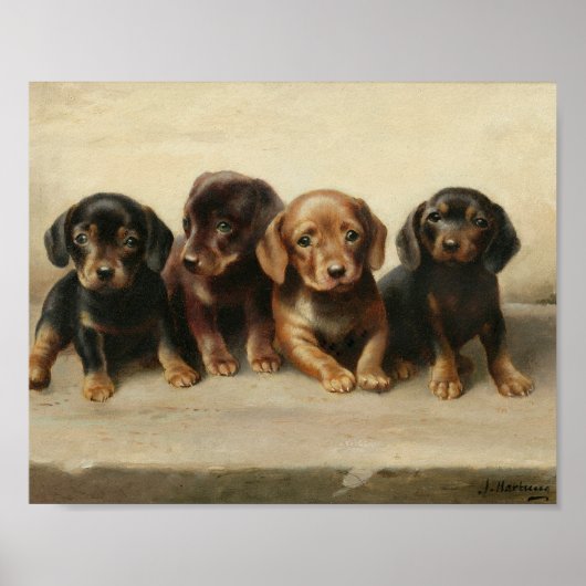 Vier teckel Puppies | Carl Reichert Poster (Voorkant)