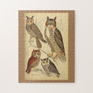 Vier uilen illustratie legpuzzel