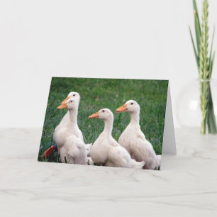 Vier van een soort, snoep kaart