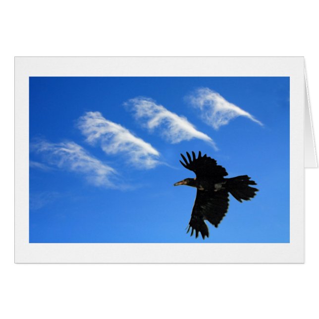 Vier veren (Voorkant Horizontaal)