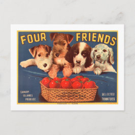 Vier Vrienden Tomatenkistje Label Dogs Briefkaart