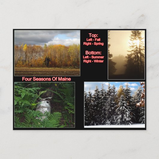 Vier zeesoorten van maïs briefkaart (Voorkant)