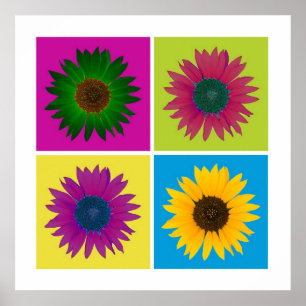 Vier zonnebloemen in kleurenPoster Poster