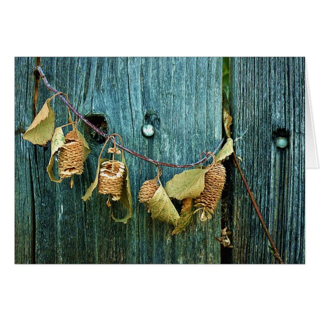 Vier zussen (Voorkant Horizontaal)