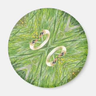 Vier zwanen koelkastmagneet magneet