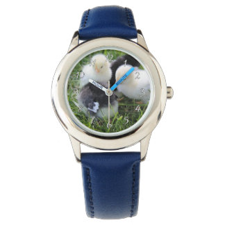 Vier zwarte en gele Baby kipkuikens Horloge