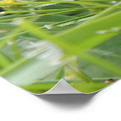 Vier zwarte en gele Baby kipkuikens Poster (Hoek)