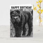 VIERDAGKAART MET SHAR PEI DOG KAART (Gele Bloem)