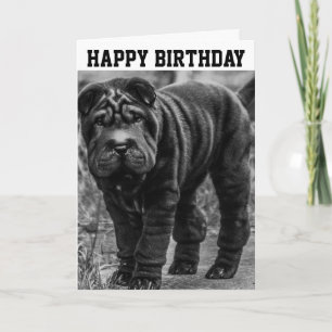 VIERDAGKAART MET SHAR PEI DOG KAART