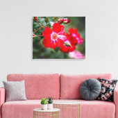 Vierde juli Shrub Canvas Afdruk (Insitu (Woonkamer))