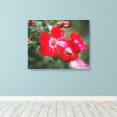 Vierde juli Shrub Canvas Afdruk (Insitu (Houten vloer))