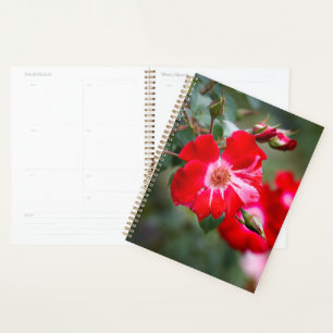 Vierde juli Shrub Planner