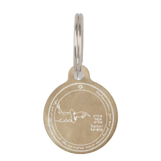 Vierde Pentacle van de maan Huisdierpenning