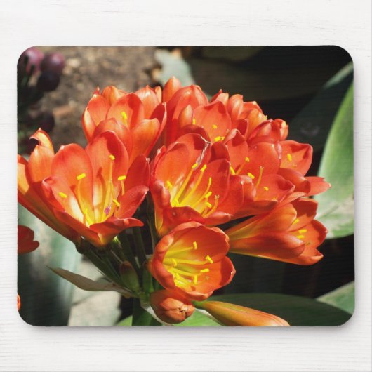 vieren muismat (Voorkant)