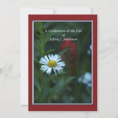 Viering van de Nobelprijs voor het leven, Witte Wi Kaart (Voorkant)