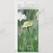 Viering van het Florale landschap Life 2 Kaart (Voorkant)