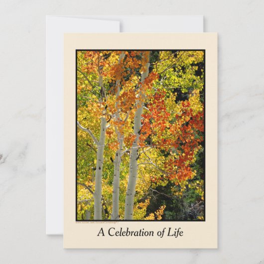 Viering van het leven, drie Aspens in de herfst Kaart (Voorkant)