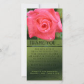 Viering van het leven, Koraalroos, U kunt het aanp (Voorkant)