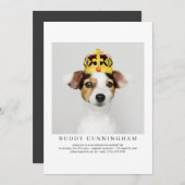 Viering van Life Simple Elegant Pet Photo Kaart (Voorkant / Achterkant)