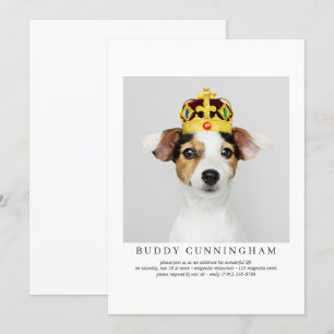 Viering van Life Simple Elegant Pet Photo Kaart