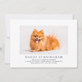 Viering van Life Simple Elegant Pet Photo Kaart (Voorkant)