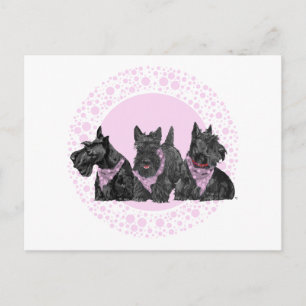 Vieringen Scotties in Roze Uitnodiging Briefkaart