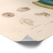 Vierkant blauw  Zee maakt kunst afdrukken Poster (Hoek)