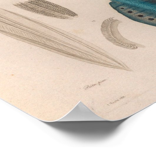 Vierkant blauw Zee maakt kunst afdrukken Poster (Hoek)