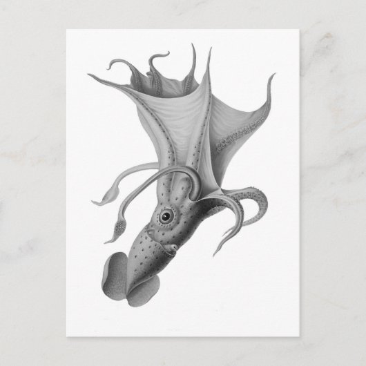 vierkant briefkaart (Voorkant)