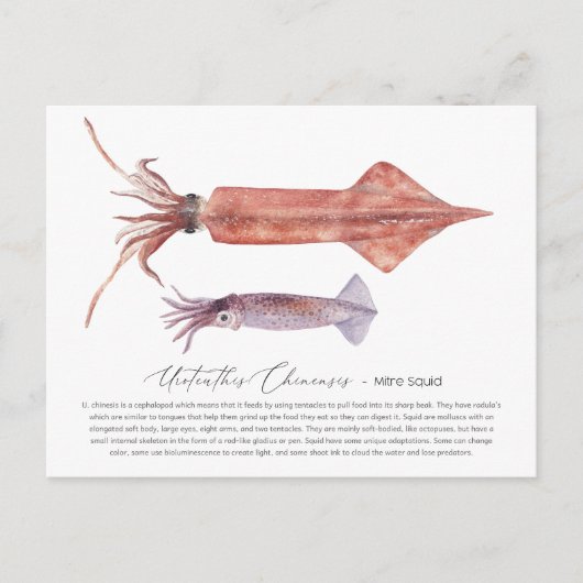 Vierkant Briefkaart (Voorkant)