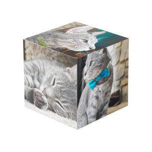 Vierkant fotoinstallatieschema Aangepaste kubusins Kubus